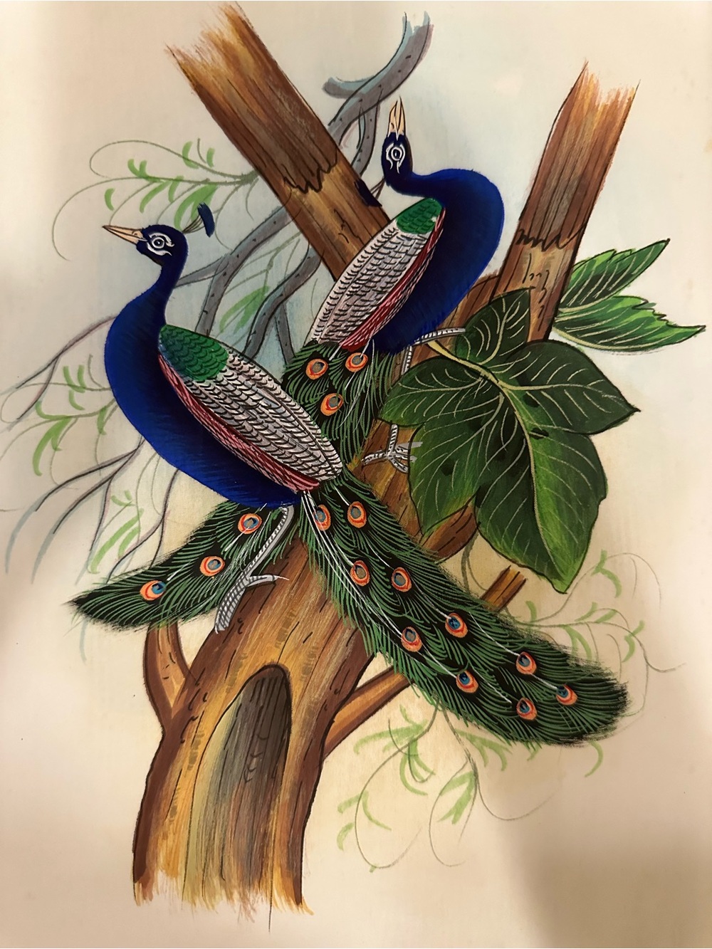 Peacock Wall Art Print - Blue and Green Bird Illustration